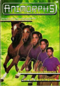 Animorphs 14 : Melacak Pesawat Misterius