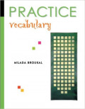 Practice Vocabulary