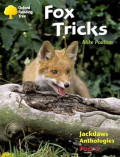 Fox Tricks Oxford Reading Tree: Levels 8-11: Jackdaws: (Pack 1)