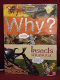 Why? Insects : Serangga