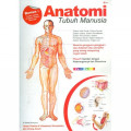 Anatomi Tubuh Manusia