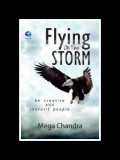 Flying on The Storm