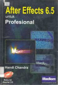 After Effect 6.5 untuk Profesional